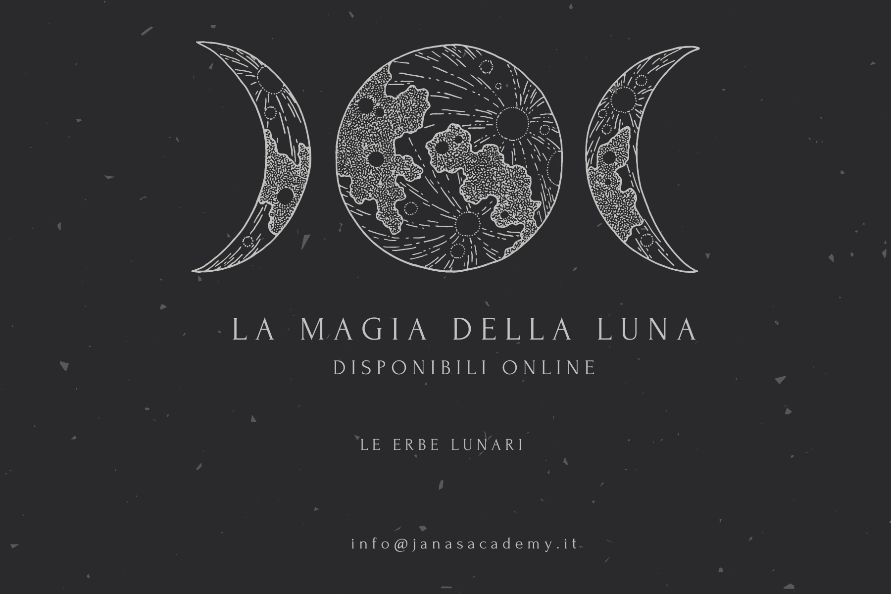 La magia della luna Erbe lunari Janas Academy