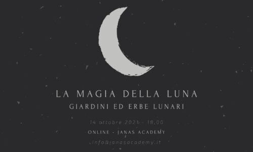 La magia della luna: giardini ed erbe lunari