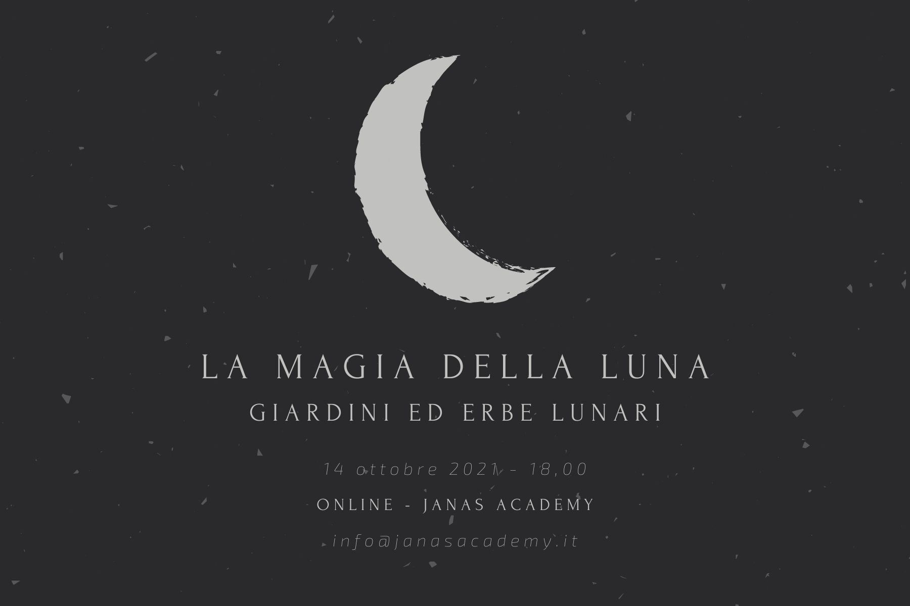 Luna Luna