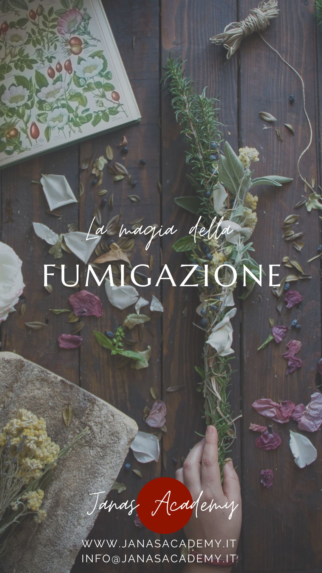 La magia della fumigazione La magia della fumigazione