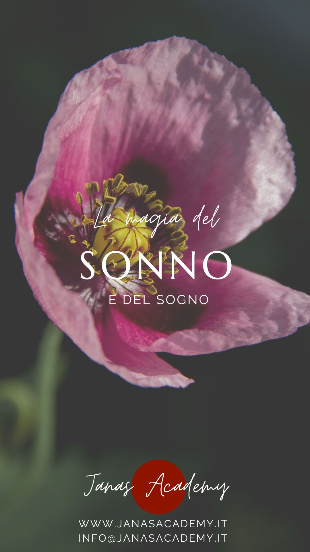 La magia del sonno e del sogno La magia del sonno e del sogno