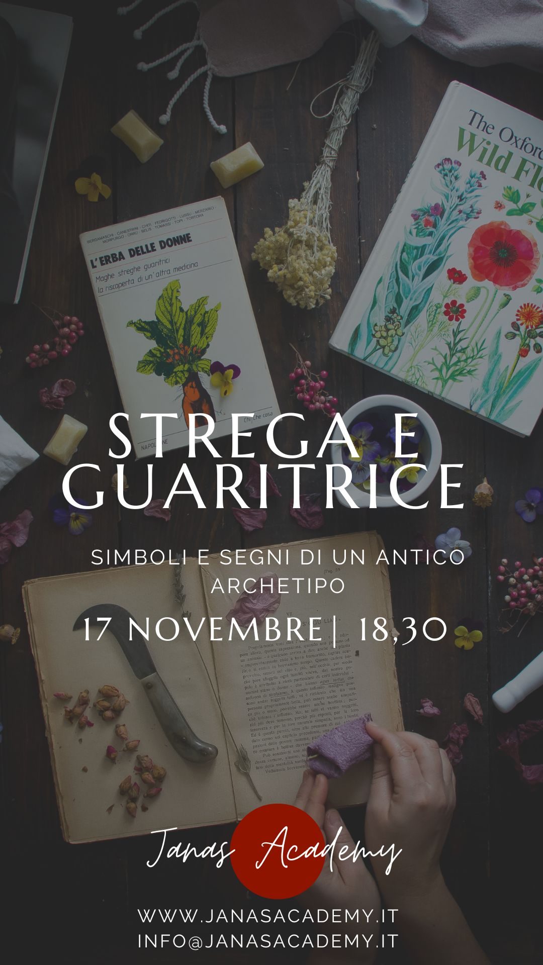 La strega e la guaritrici La strega e la guaritrici