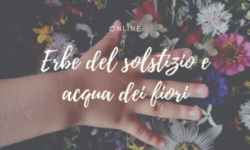 Erbe del solstizio e acqua dei fiori