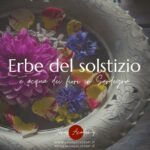 Erbe del solstizio e acqua dei fiori