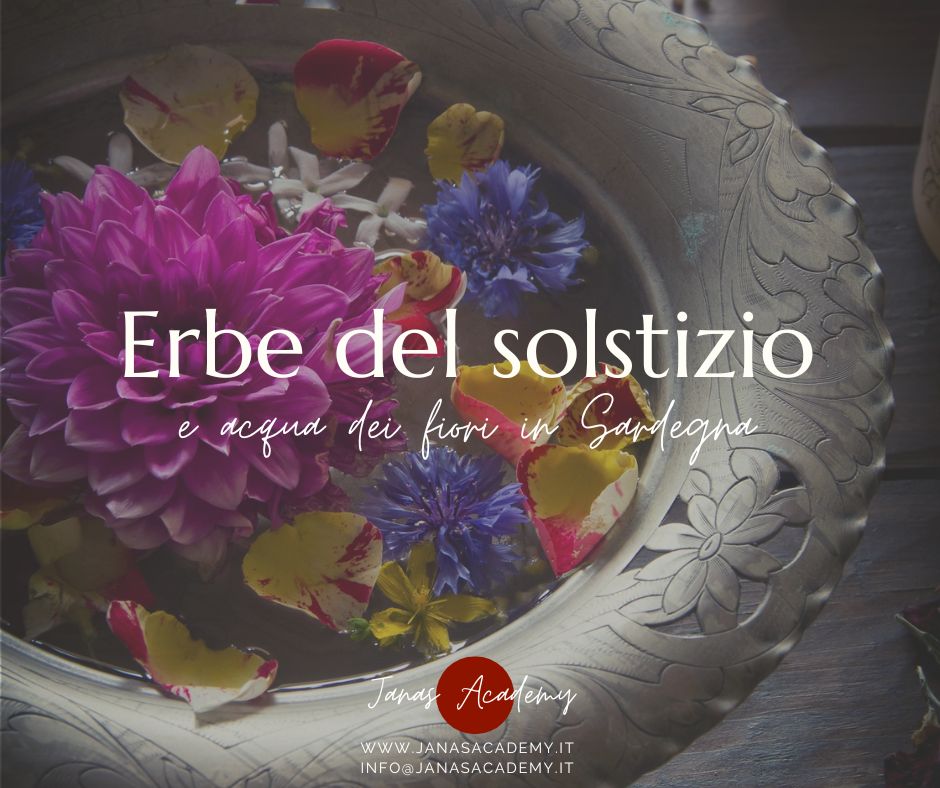 Erbe del solstizio e acqua dei fiori (1) Erbe del solstizio e acqua dei fiori (1)