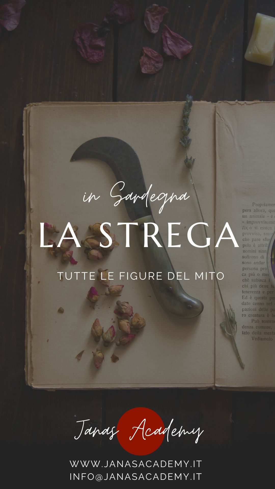 La strega in Sardegna | seminario Janas Academy